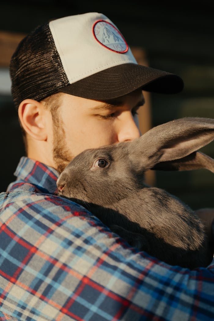 Home A man in a checkered shirt outdoors, cuddling a gray rabbit with affection.